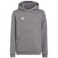 Adidas Entrada 22 Sweat Hoodie Kinder