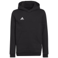 Adidas Entrada 22 Sweat Hoodie Kinder