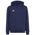 Adidas Entrada 22 Sweat Hoodie Kinder