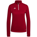 Adidas Entrada 22 Training Oberteil Damen Sweatshirt
