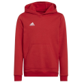 Adidas Entrada 22 Sweat Hoodie Kinder