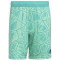 Adidas Condivo 22 Torwartshorts Herren