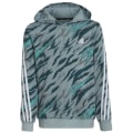 Adidas Future Icons 3-Streifen Graphic Hoodie Jungen