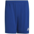 Adidas Entrada 22 Herren Shorts