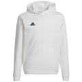 Adidas Entrada 22 Sweat Hoodie Kinder