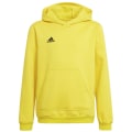 Adidas Entrada 22 Sweat Hoodie Kinder
