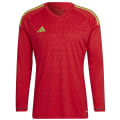 Adidas Tiro 23 Competition Long Sleeve Torwarttrikot Herren