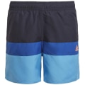Adidas Colorblock Badeshorts Jungen