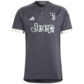 Adidas Juventus Turin Condivo 22 Torwarttrikot Herren