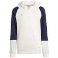 Adidas Ajax Amsterdam Tiro 23 Kinder Kapuzenpullover
