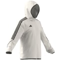 Adidas Tiro 23 League Herren Schlupfjacke