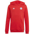 Adidas FC Bayern München Juniors Hoodie Kinder