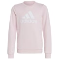 Adidas Essentials Big Logo Cotton Sweatshirt Mädchen