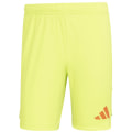 Adidas Tiro 24 Pro Torwartshorts Herren Torwarthose