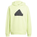 Adidas Future Icons Logo Hoodie Kinder