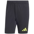 Adidas Tiro 24 Pro Torwartshorts Herren Torwarthose