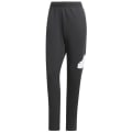 Adidas Future Icons Badge of Sport Hose Herren
