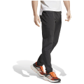 Adidas Terrex Xperior Light Herren Hose