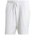 Adidas Tennis Ergo 7inch Herren Shorts
