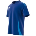 Adidas Tiro24 Competition Polo Herren