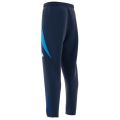 Adidas Tiro24 Competition Presentation Pant Herren