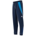 Adidas Tiro24 Competition Presentation Pant Herren