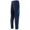 Adidas Tiro24 Competition Presentation Pant Herren