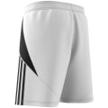 Adidas Tiro 24 Herren Shorts