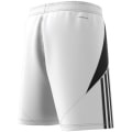 Adidas Tiro 24 Herren Shorts