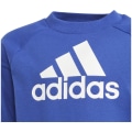 Adidas Essentials Logo French Terry Jogginganzug Kinder Jogginganzug