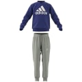 Adidas Essentials Logo French Terry Jogginganzug Kinder Jogginganzug