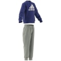 Adidas Essentials Logo French Terry Jogginganzug Kinder Jogginganzug