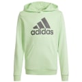 Adidas Big Logo Essentials Cotton Hoodie Kinder