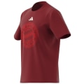 Adidas FC Bayern München DNA Graphic Herren T-Shirt