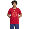 Adidas FC Bayern München DNA Graphic Herren T-Shirt