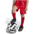 Adidas FC Bayern 2024/2025 Home Minikit Kinder Jogginganzug