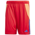 Adidas Tiro 24 Herren Shorts