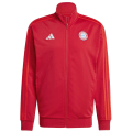 Adidas FC Bayern München DNA Herren Sweatshirt