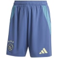 Adidas Ajax Amsterdam 24/25 Away Herren Teamhose