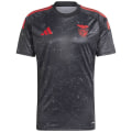 Adidas Benfica 24/25 Away Jersey 2 Herren Trikot