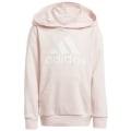 Adidas Essentials Logo Kinder Kapuzensweater