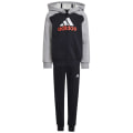 Adidas Essentials Big Logo Kids Trainingsanzug Kinder