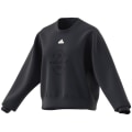 Adidas Signature Graphic Print Fleece Loose Damen Sweatshirt