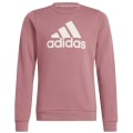 Adidas Essentials Big Logo Cotton Mädchen Sweatshirt
