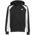 Adidas Seasonal Essentials Colorblock Herren Kapuzensweater