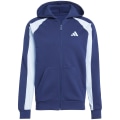 Adidas Seasonal Essentials Colorblock Herren Kapuzensweater
