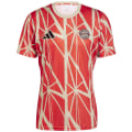 Adidas FC Bayern München Pre-Match Herren Trikot