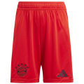 Adidas FC Bayern München 24/25 Heimshorts Jungen Teamhose
