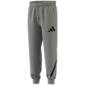 Adidas New adidas Z.n.e. Herren Hose