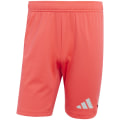 Adidas Tiro 25 Pro Goalkeeper Herren Torwarthose